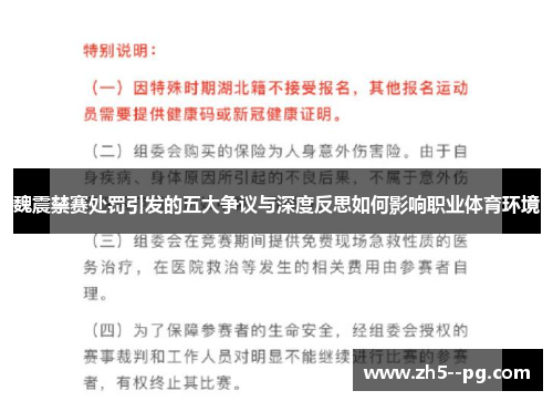 魏震禁赛处罚引发的五大争议与深度反思如何影响职业体育环境